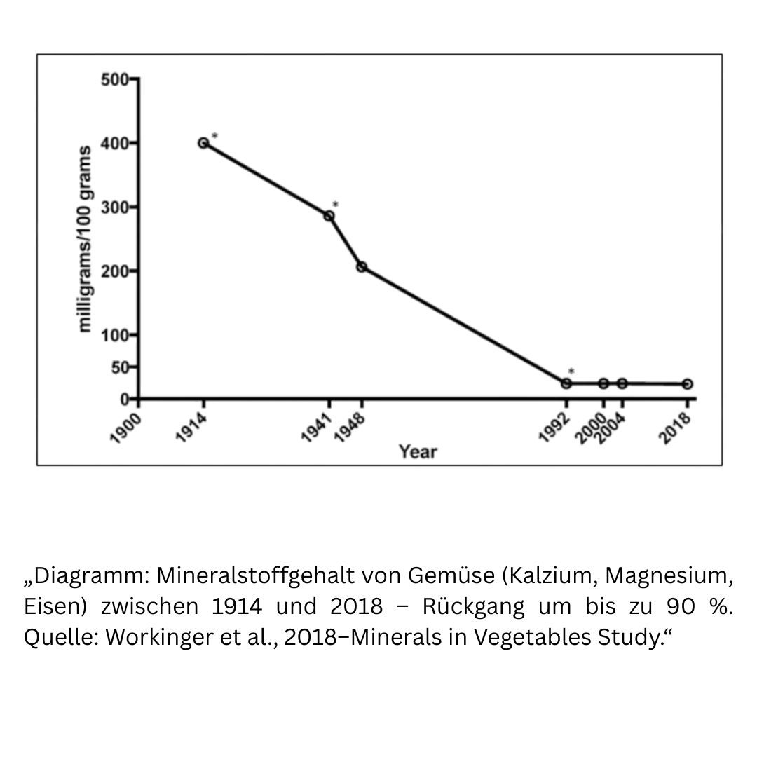 Nahrungsergänzung Vitalstoffe