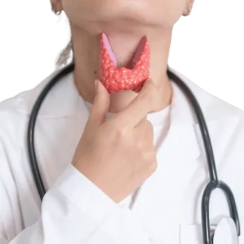 Schilddrüsenwerte verstehen