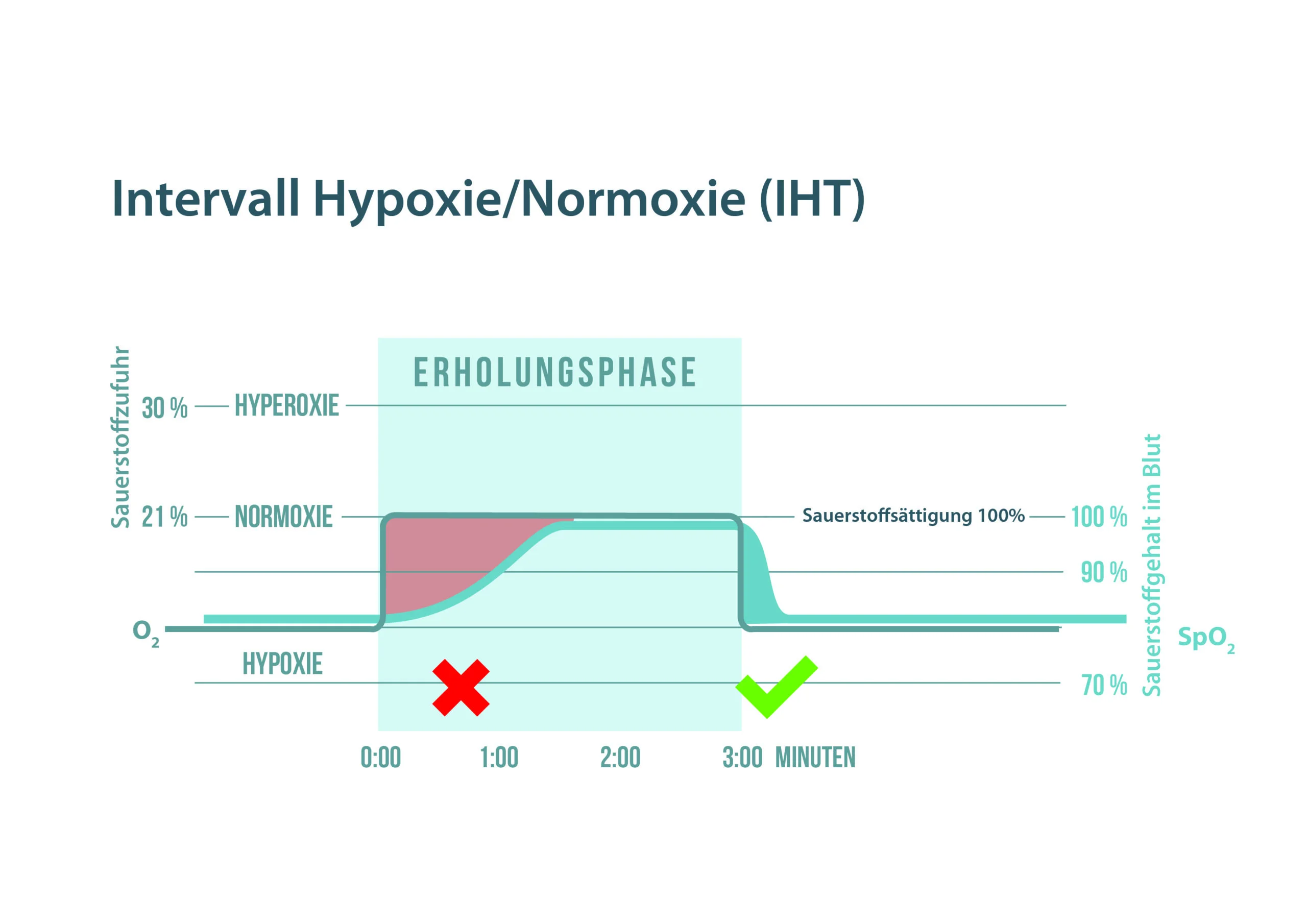 Intervall Hypoxie