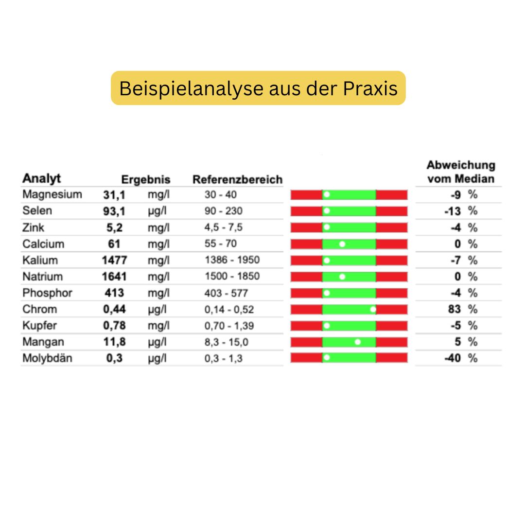 Analyse Mikron&auml;hrstoffe