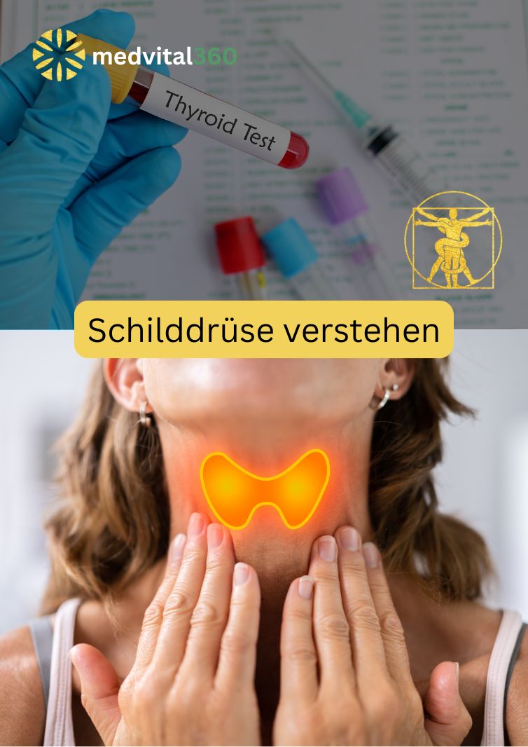 Schilddrüse verstehen