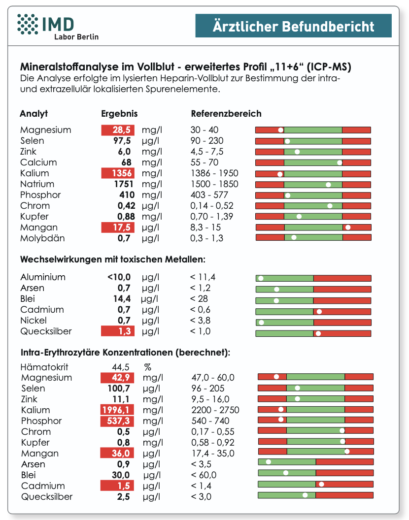 Musterbefund Vollblut