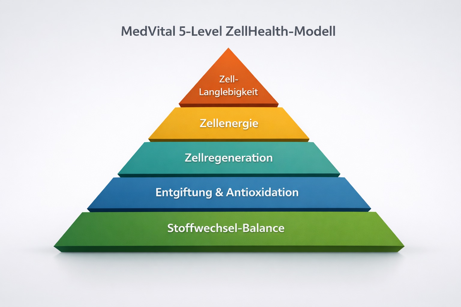 ZellHealth-Modell